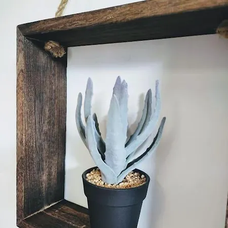 A Funtanella 100m2, Paisible, Vue