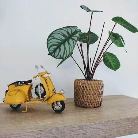 A Funtanella 100m2, Paisible, Vue Apartment *