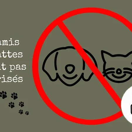 Apartment A Funtanella 100m2, Paisible, Vue *