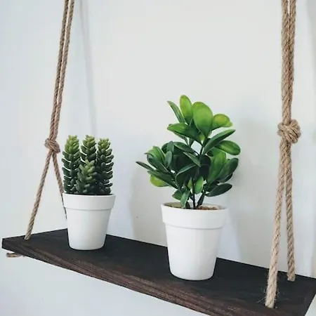 Διαμέρισμα A Funtanella 100m2, Paisible, Vue