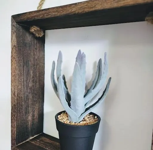 A Funtanella 100m2, Paisible, Vue