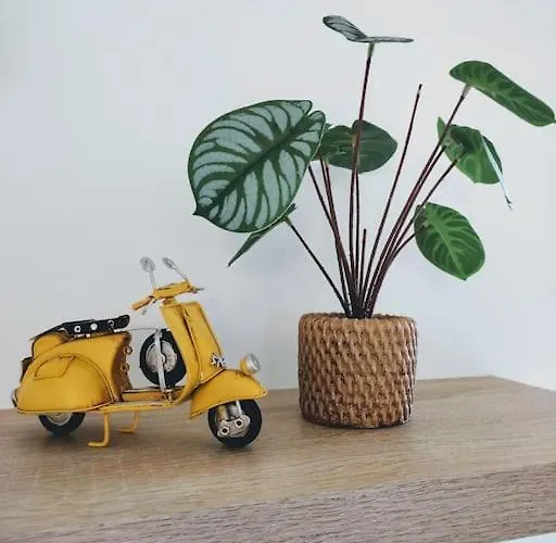 A Funtanella 100m2, Paisible, Vue Apartman *